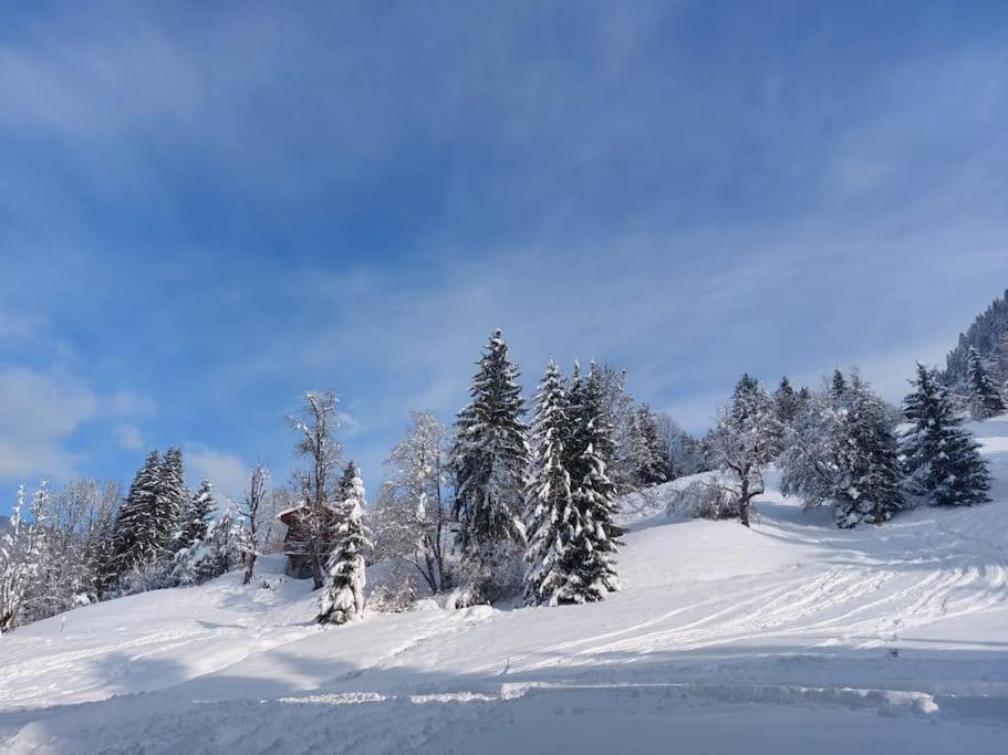 Appartamento Di Charme Praz-sur-Arly Buitenkant foto
