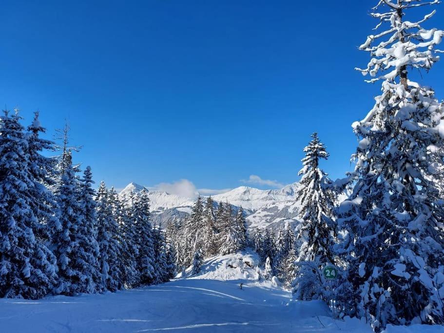 Appartamento Di Charme Praz-sur-Arly Buitenkant foto